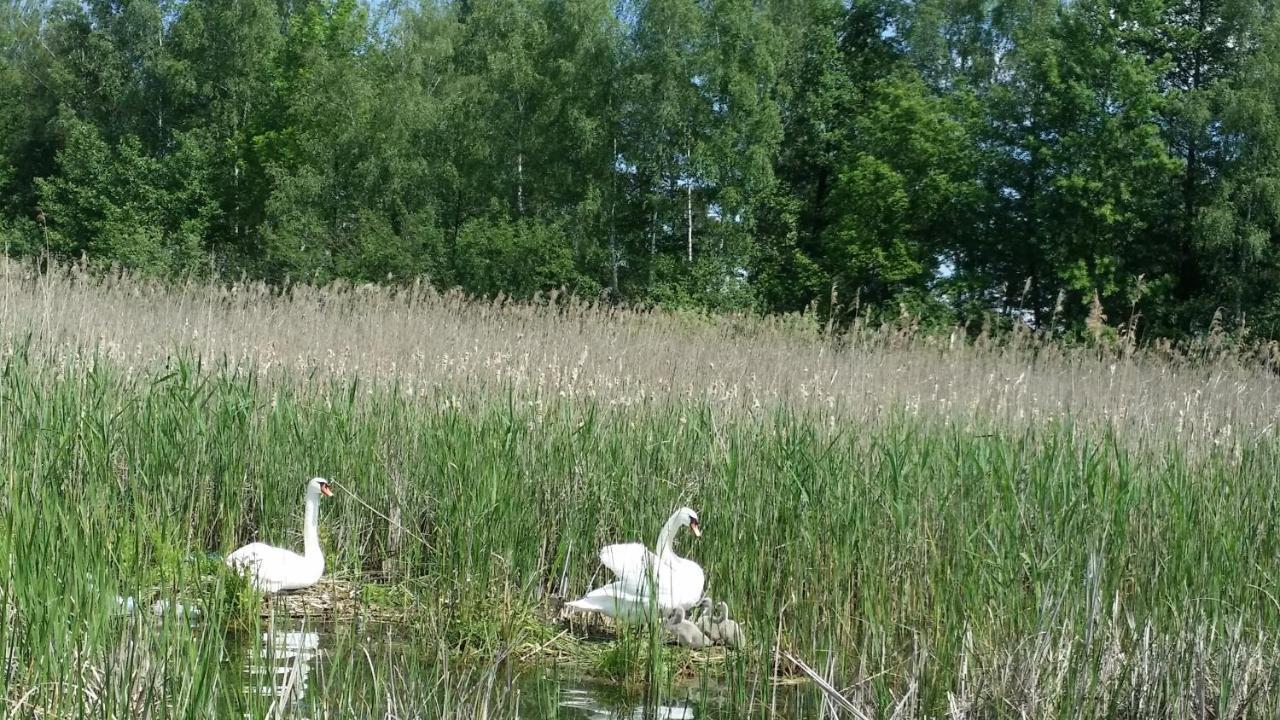 Domek Mazury - Jezioro Orzysz Exterior photo
